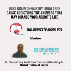 brain chemistry and addiction
